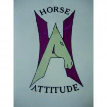 Horse Attitude