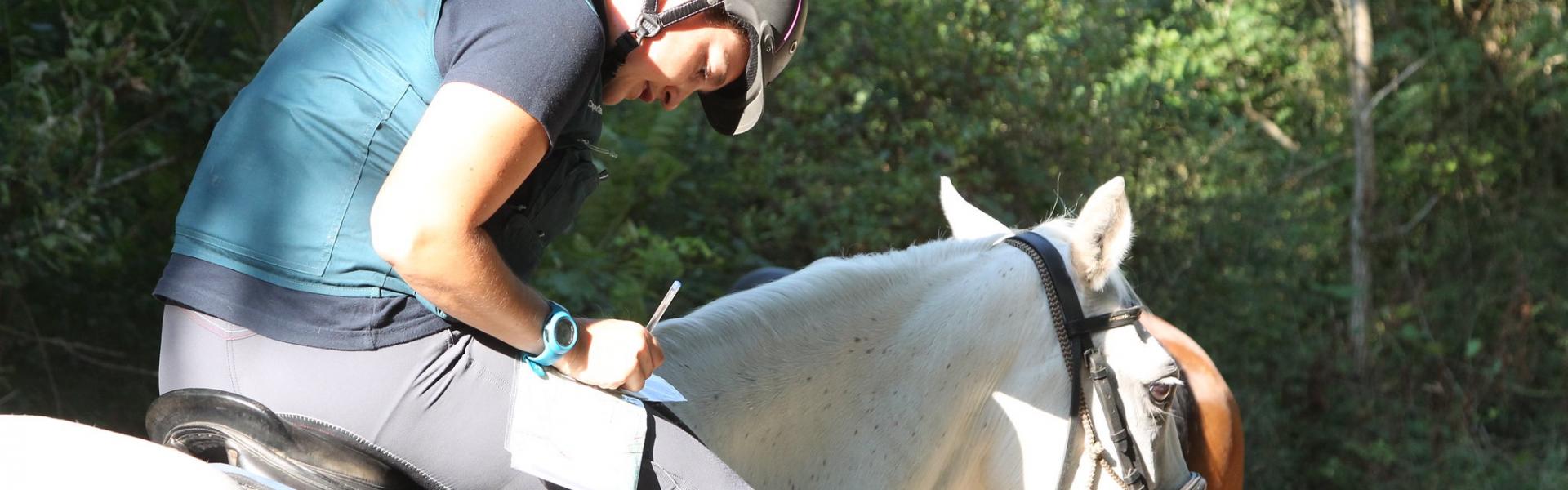 TREC. Parcours d’Orientation et de Régularité - POR. Discipline d'équitation. Fédération Française d'Equitation